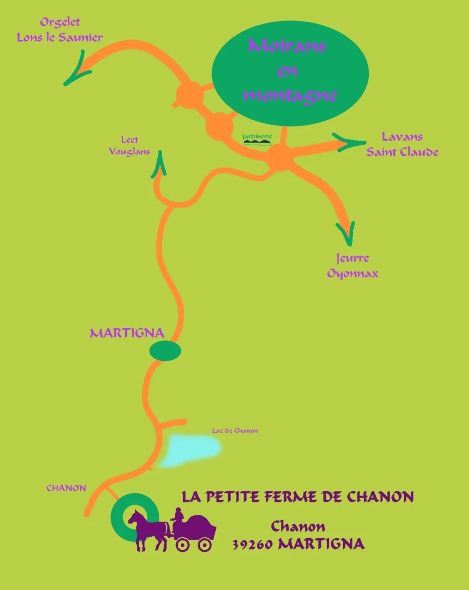plan lpfc
