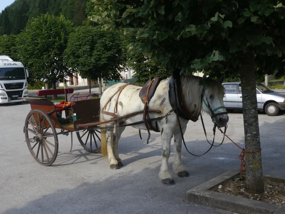 calèche deux roues brancards suspendus