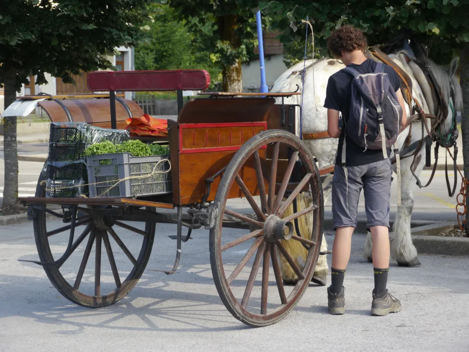 calèche deux roues roues caoutchouc