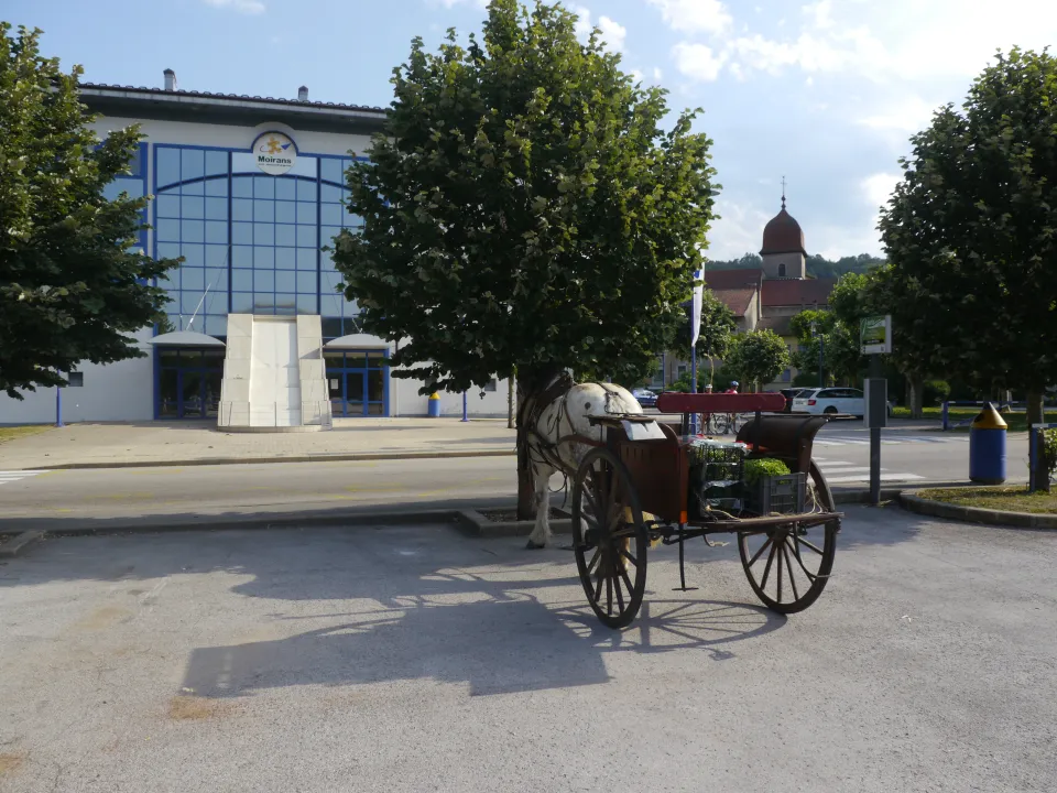 calèche deux roue d'occasion