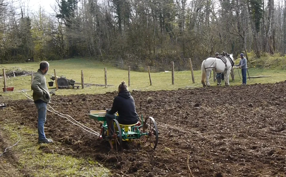 planteuse a pomme de terre au mouffle