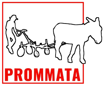 prommata_logo_2024